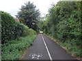 Dual use path beside Donnington Wood Way in TF2 7PH