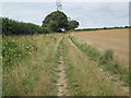 Footpath from Stedham Lane in GU29 0QA