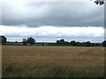 Stubble field, Lapley in ST19 9JY
