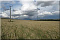 Powerlines over the pasture in LU7 9FN