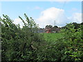 Upper Woodsfield Farm through the hedge in WR13 5BE