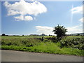 View over the fields in Lanchester