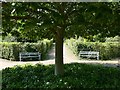 Benches in Wentworth Castle Gardens in S75 3EU
