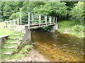 Footbridge on Ridingmill Burn in NE44 6JB