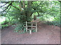 Stile in Rookery Wood, near Wotton in RH5 6QH