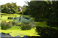 A weedy River Stour below Blandford Bridge in DT11 9LH