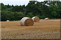 Bales in field beside Castle Lane in DT11 0QY