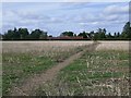 Upper Basildon: path to Woodgreen Farm in RG8 8LR