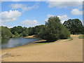 Hollow Pond, Epping Forest in E11 1NP