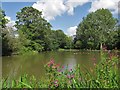 Fishing pond at Ford. in S12 3YD
