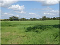 Grassland and power lines, Silverstone in NN12 8FE