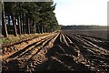 Ploughed field near Brandon in IP27 0XB