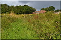 Footpath through field at Colden Common in SO21 1FW