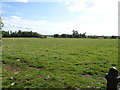 Grazing near Manor Farm, Passenham in MK19 6UY