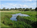 Mill stream running off the River Ouse, Passenham in MK11 1HB
