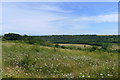 View south from West Down in Maxton & Elms Vale Ward