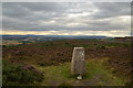 OS Triangulation Pillar on Brimmond Hill, Aberdeen in AB21 9TB