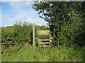 Footpath and stile near Ongar in CM5 0EZ