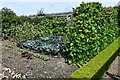Hindringham Hall: Vegetables growing in the Herb Garden in Hindringham
