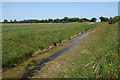 Ditch on Gedney Marsh in PE12 9NW