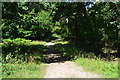 Path into Coalpit Copse in SP5 1AG