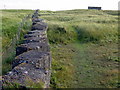 World War II defences, Dumbarnie Links in KY8 6JD
