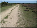 Track on Little Cockley Plain in SP6 2LJ