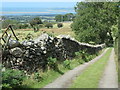 Concrete track down to Cae Haidd Bach in LL54 7NL