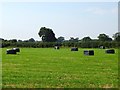 Plastic covered hay bales in a field in DE6 5JP