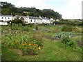 Allotments, Swimbridge in EX32 0PP