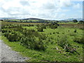 Open access land north-west of Dafarn Dywarch in LL54 7HR
