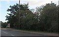 Woods by Waresley Road, Gamlingay in Gamlingay