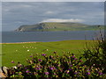 View of fields from a garden in Scatness in ZE3 9JX