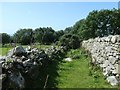 Walled footpath from Hafotty Newydd in LL54 7NT
