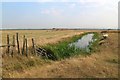 Drainage ditch at Teynham Levels in ME9 9HH