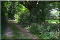 Footpath near junction with Hungerford Lane in SP11 0JB