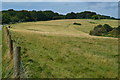 Sloping fields beside Chute Causeway in SP11 9EX