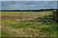 Field gate beside Chute Causeway in SP11 9EX