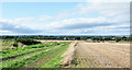 Farm track alongside stubble field in NE20 9RL