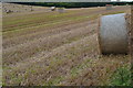 Bales in field at Great Bedwyn in SN8 3LW