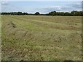 Haymaking, Corse Lawn in GL19 4LU