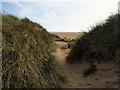 Path through the Dunes, St Anne's in FY8 2TX