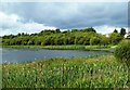 Frankfield Loch in G33 6BY