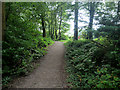 Path through Woodland behind Lytham Hall in FY8 4RX