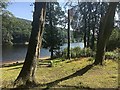 Viewpoint beside Damflask Reservoir in S6 6GQ