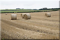 Harvested field near Harker Marsh in CA15 7EH