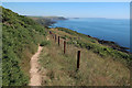 South West Coast Path in PL8 1HL