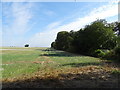 Stubble field, Windmill Hill in CB10 2DX