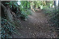 Footpath to the church in Dodford