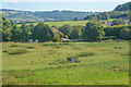 Combe Florey : Grassy Field in TA4 3HX